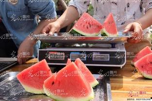 山东最新吃瓜爆料新闻,神秘事件背后真相揭晓！