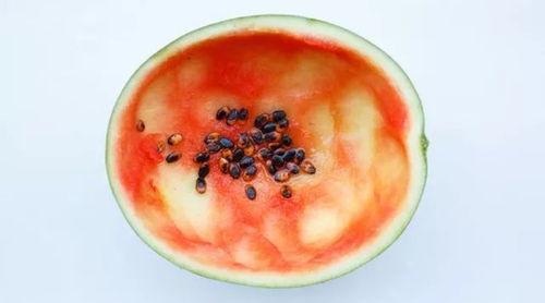 网红吃瓜勺子图片真实